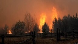 Вогонь верхівками дерев наближається до села Острови Житомирської області. Фото Віталія Юшкевича. 16 квітня 2020 року