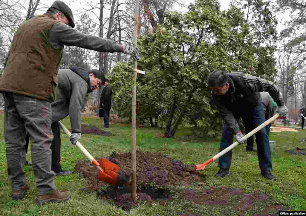 Жээнбеков Албек Ибраимовго кайрылып, шаарда бак-дарактарды кыюу себептерин, жолдорду кеңейтүү же объекттерди куруу максатындабы, баарын шаар тургундарына алдын-ала түшүндүрүү керектигин белгиледи.