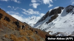 Badahşan görnüşi