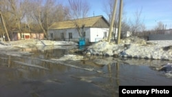 Подтопленная улица в селе Кокпекты Карагандинской области. 28 марта 2017 года. Фото прислали жители села.