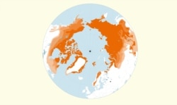 Permafrost (shown in orange) is abundant in the Northern Hemisphere.