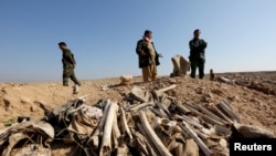 Iraq -- Bones, suspected to belong to members of Iraq's Yazidi community, are seen in a mass grave on the outskirts of the town of Sinjar, November 30, 2015