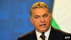 Kryeministri hungarez, Viktor Orban.