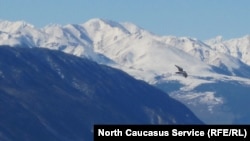 В горах Дагестана, иллюстративная фотография
