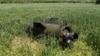 На Київщині сили ППО збили дві ракети – обласна влада