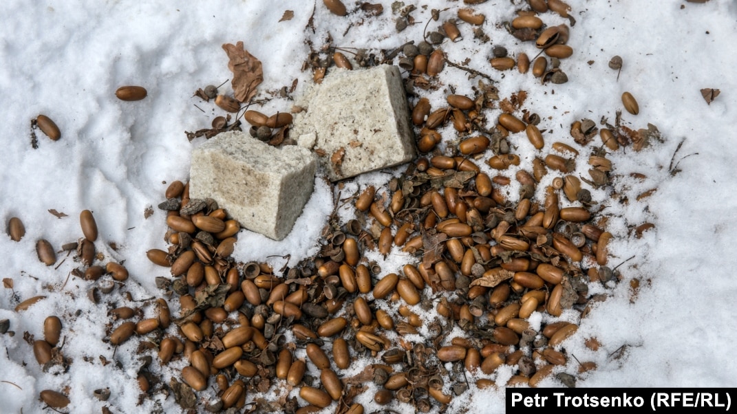 Дәрігермен гинекологиялық креслода жыныстық қатынас