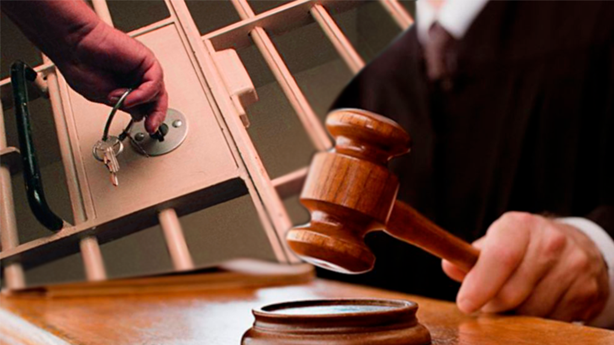 Как наказать судью. Дисциплинарная ответственность судей. Судебная речь судьи. Адвокат раскольникова. Судебный молоток.