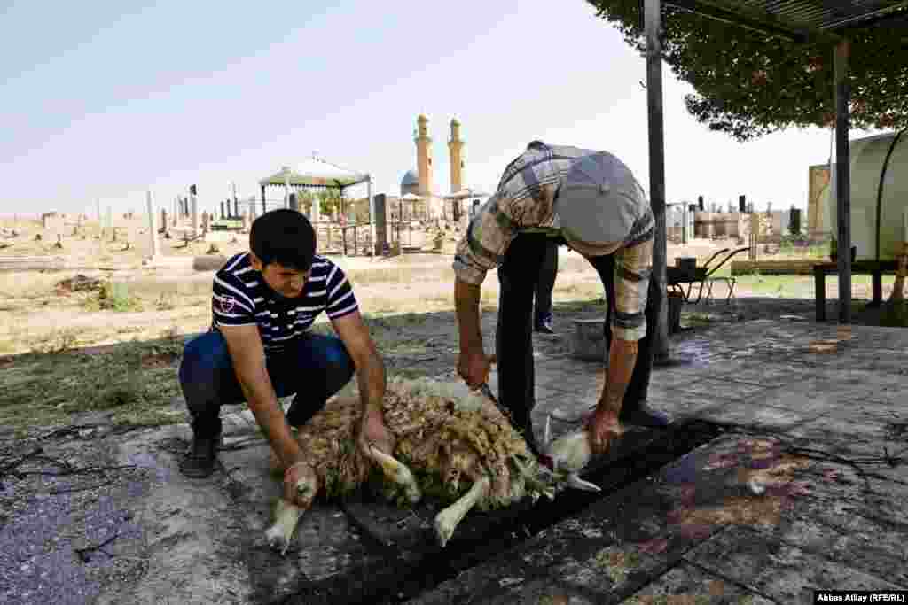 Bura ziyarətə gələn zəvvarlar kompleksin həyətində qurban kəsirlər.