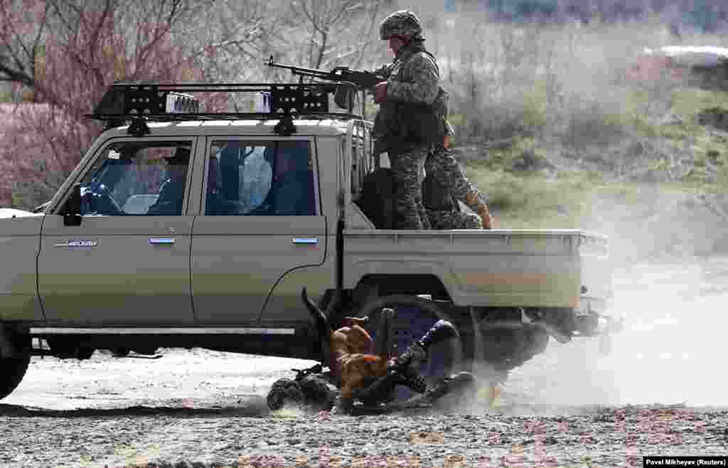 A serviceman with a dog falls while jumping down from a vehicle during military exercises held by Kazakh assault troops at a firing ground in the Almaty region. (Reuters/Pavel Mikheyev)