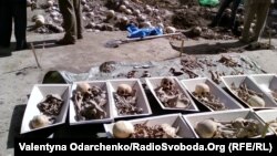 Массовое захоронение жертв НКВД в украинском городе Владимир-Волынский