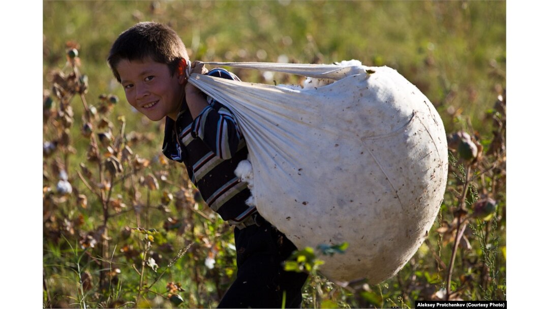 Эльфтер мен мифтік тіршілік иелері бейнеленген 3D порно Кіреберістегі порно, қызыл көйлек