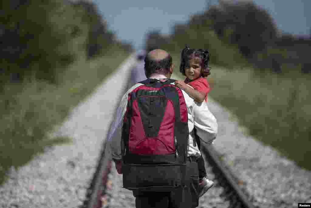 پناهجویان در صربستان و حرکت به سمت مجارستان