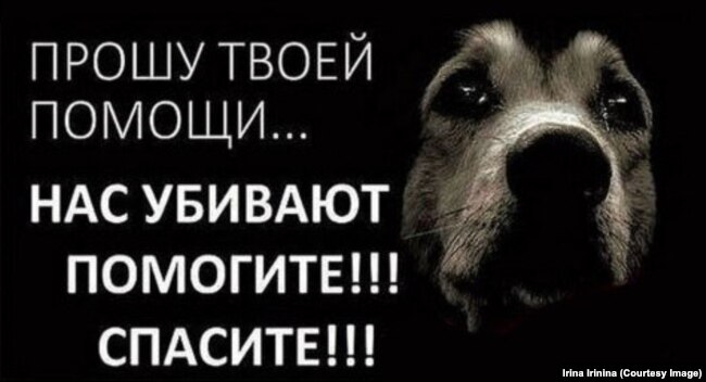 Один из баннеров зооспасателей