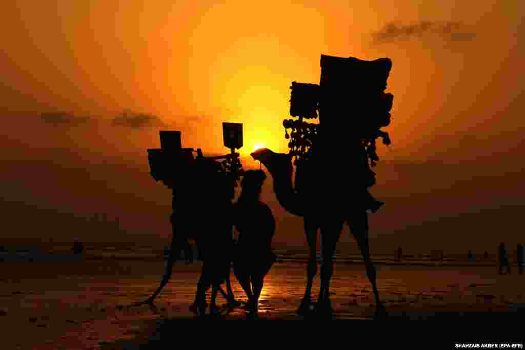 Чалавек зь вярблюдамі прагульваецца па пляжы ў Карачы, Пакістан.