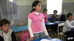 Как подчеркнула эксперт по абхазскому языку Диана Шамба, главный упор в усилиях по сохранению родного языка надо делать на работе с детьми