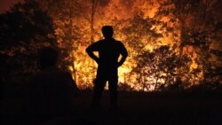 SPC optužuje "grešnike" za sušu i požare