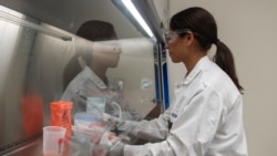 Научници и истражувачи работат на откривање на вакцина за Ковид-19 во лабораторија на Новавакс, САД, мај 2020
