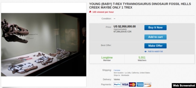 Объявление на eBay о продаже тиранозавра