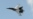 A Sukhoi SU-30 fighter jet passed through Lithuanian airspace on October 23 according to Vilnius. (file photo)