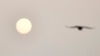 «Небо буде тьмяним», попереджає Укргідрометцентр (фото ілюстраційне)