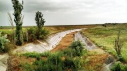 Северо-Крымский канал в июне 2019 года
