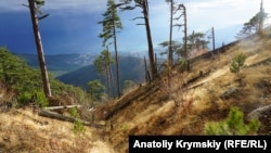 Ущелье Уч-Кош в Крымских горах 