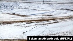 Кыргызстан (Фото архивден)