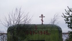 ДОТ в деревне Химози. Кресты, по словам местных жителей, на ДОТе появились благодаря Андрею Бовту