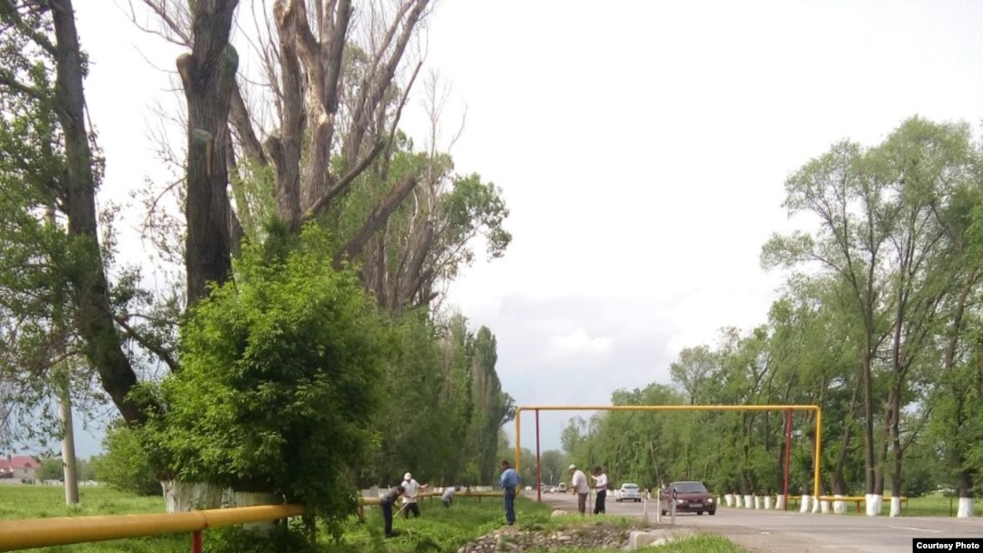 Schoolteachers cut grass along the road in the village of Uzynagsh near Almaty.