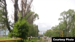 Schoolteachers cut grass along the road in the village of Uzynagsh near Almaty.