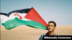 Сахариец с флагом Сахарской Арабской Демократической республики