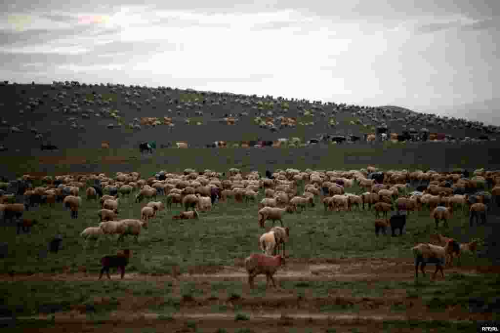 A Spring Passage Through The Caucasus #32