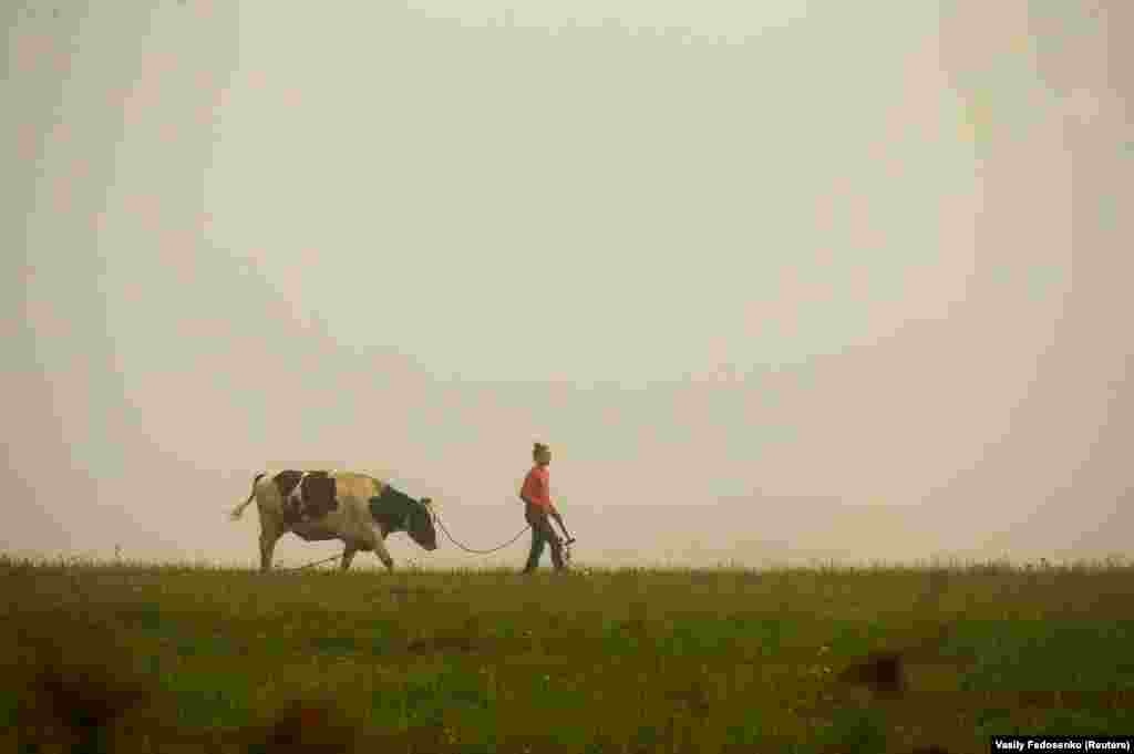 A woman walks with a cow in a field during a foggy morning near the village of Loshany, Belarus. (Reuters/Vasily Fedosenko)