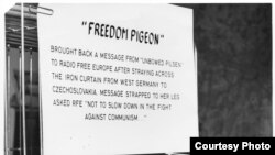 Lena, the "Freedom Pigeon," gained widespread fame by flying an anti-Communist message over the Iron Curtain.