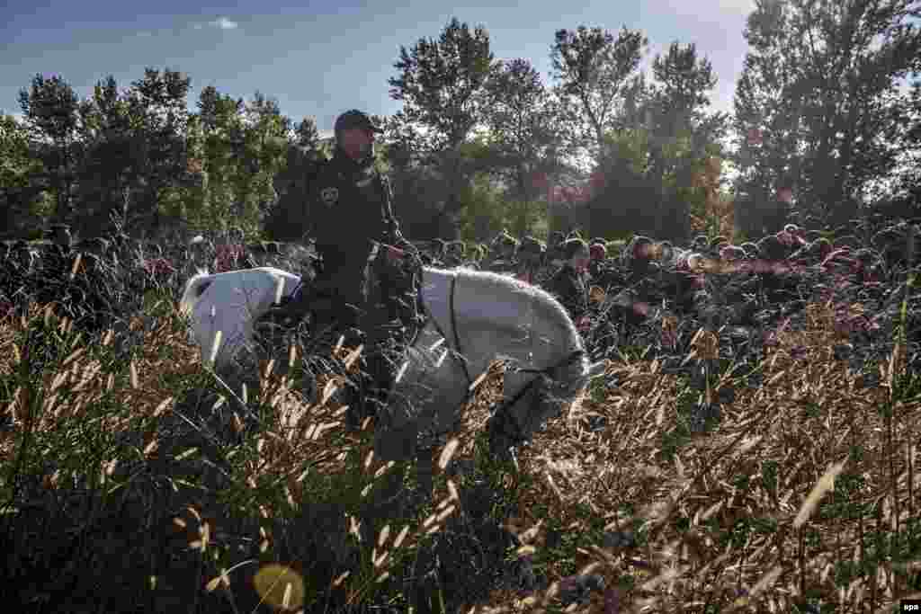 First Prize Stories in the General News Category was won by freelance Russian photographer Sergei Ponomarev. This image from the series shows a Slovenian police officer on horseback escorting migrants after they crossed from Croatia. Under Europe's system of open internal borders, the island's thinly patrolled, easily accessible coastline, within sight of the Turkish coast, might as well be the frontier of France or Germany or Sweden. (October 20, 2015) 