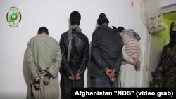 این چهار تن توسط نیروهای ریاست امنیت ملی افغانستان به اتهام آدم ربایی از مربوطات شهر کابل دستگیر شدند