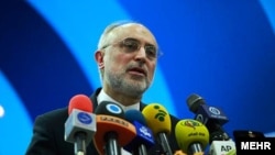 The head of Iran's Atomic Energy Organization, Ali Akbar Salehi, made the announcement on December 19 (file photo)