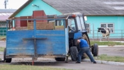 Механізоване подвір’я у селі Городець Шкловського району