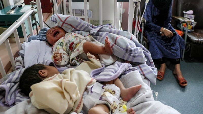 میزان مرگ و میر مادران حامله و اطفال نوزاد در پروان افزایش یافته است