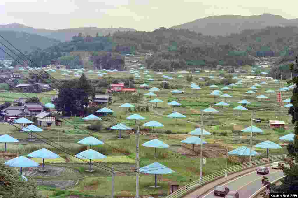 Повече от 1300 гигантски чадъри в оризищата на село Джимба, на около 120 километра северно от Токио, през октомври 1991 г.