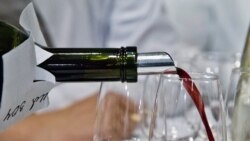 Дегустация вин «Массандры», май 2020 года