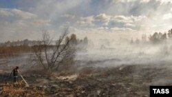 торфяные пожары в Подмосковье