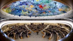 Заседание Совета по правам человека ООН