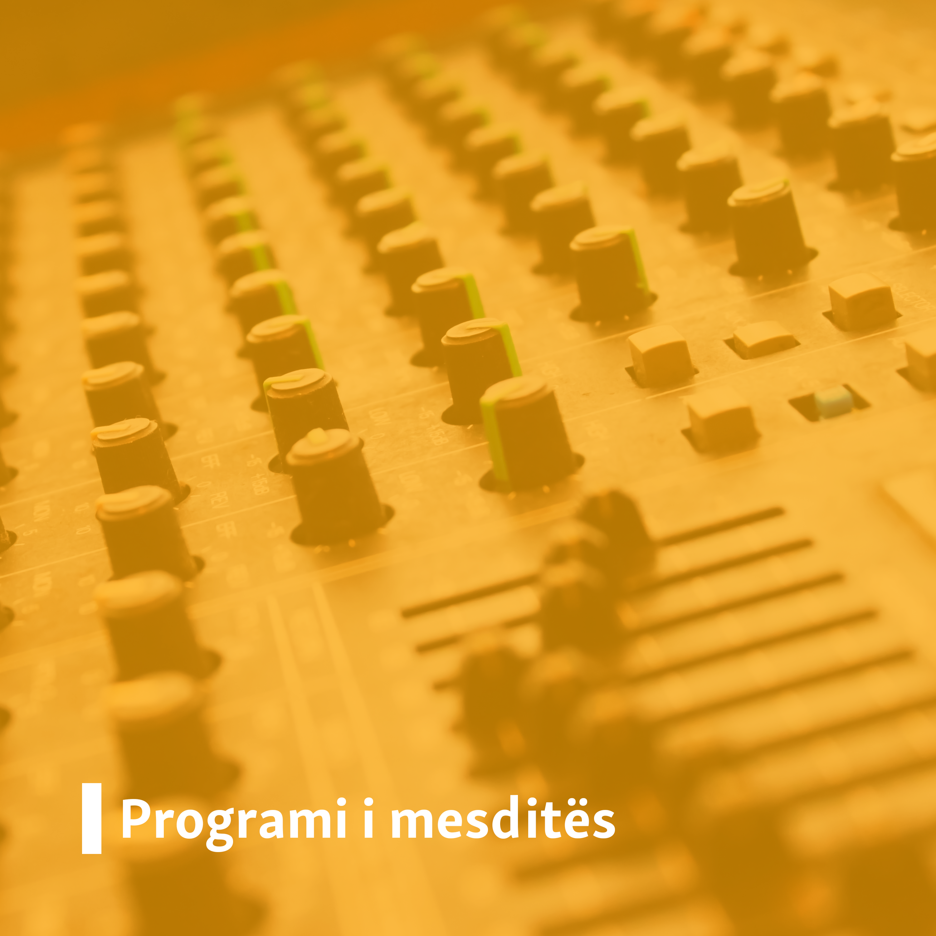 Programi i mesditës