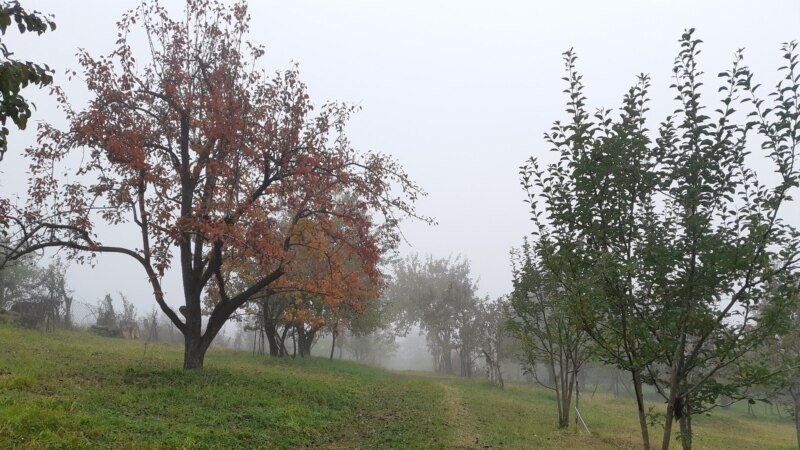 В Кабардино-Балкарии изучают "генетическую базу черкесских плодовых культур"