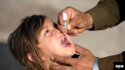 ارشیف: په ننګرهار کې یو واکسیناتور یوې ماشومې ته د پولیو ضد واکسین تطبیقوي