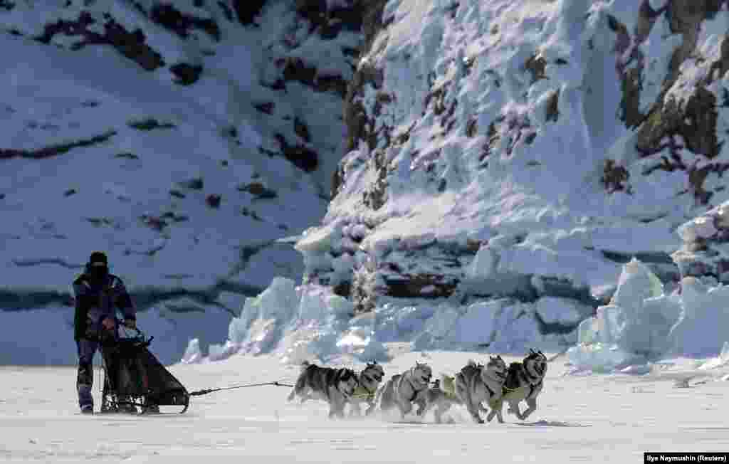 A musher is pulled by a team of Siberian huskies during a practice session on the frozen Biryusa River in the Siberian Taiga area outside Krasnoyarsk, Russia. (Reuters/Ilya Naymushin)