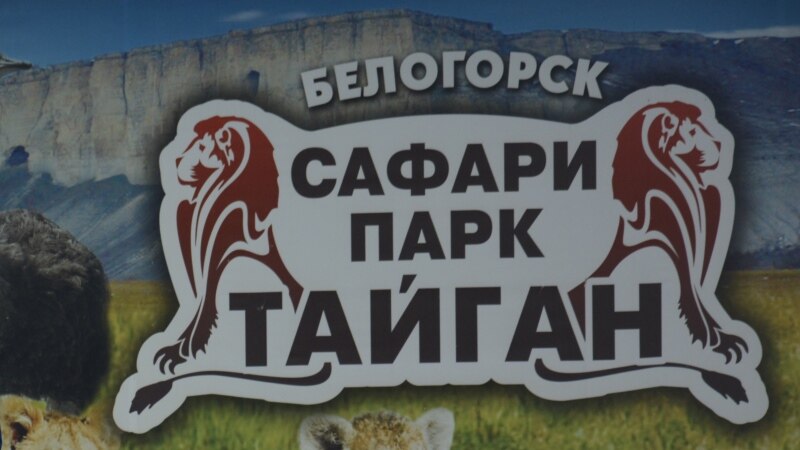 Реализация «дорожной карты» по проблемам крымского «Тайгана» растянулась из-за пандемии – власти