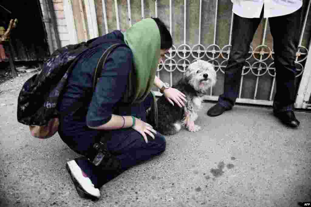 An Iranian woman pets her dog, Jessica, in downtown Tehran. 