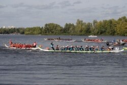 Драгонбот в Києві, 2019 рік